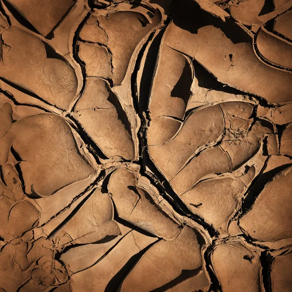 Cracked earth — Stock Photo, Image