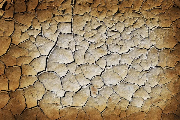 Cracked earth — Stock Photo, Image