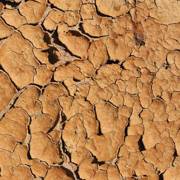 Gebarsten aarde — Stockfoto