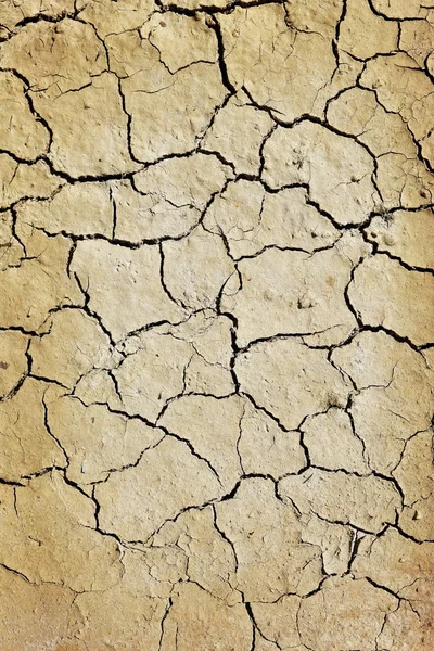 Cracked earth — Stock Photo, Image