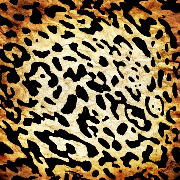 Leopardmönster — Stockfoto