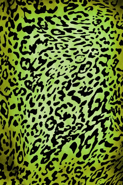 Vzorek leoparda — Stock fotografie