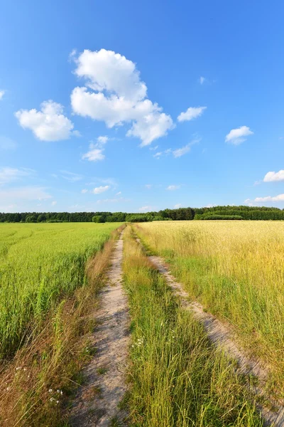 Paisagem rural — Fotografia de Stock