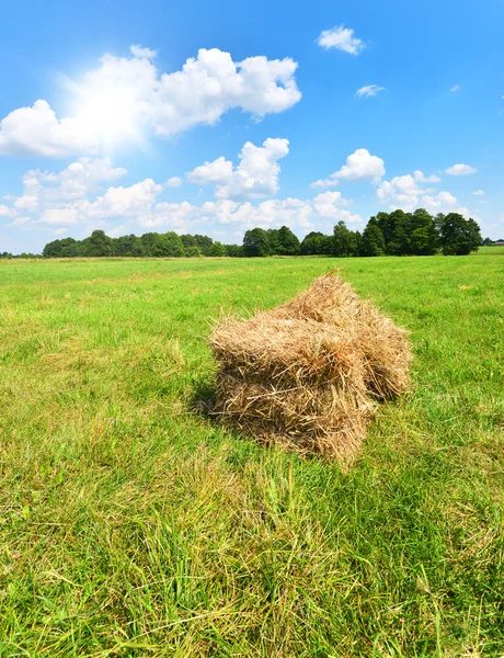 Ländliche Landschaft — Stockfoto