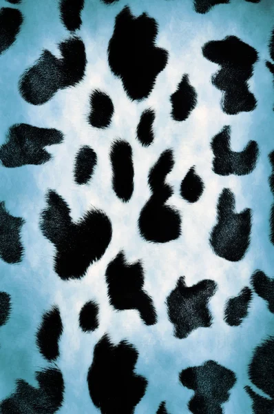 Cow pattern — Stock Photo, Image