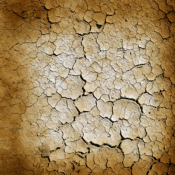 Cracked earth — Stock Photo, Image