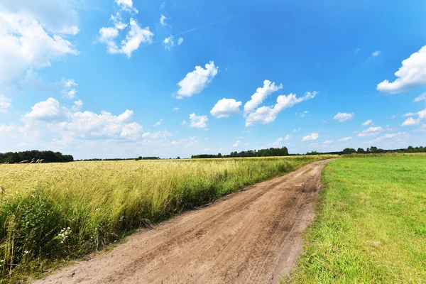 Zomer landschap — Stockfoto