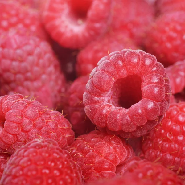 Raspberry — Stok Foto