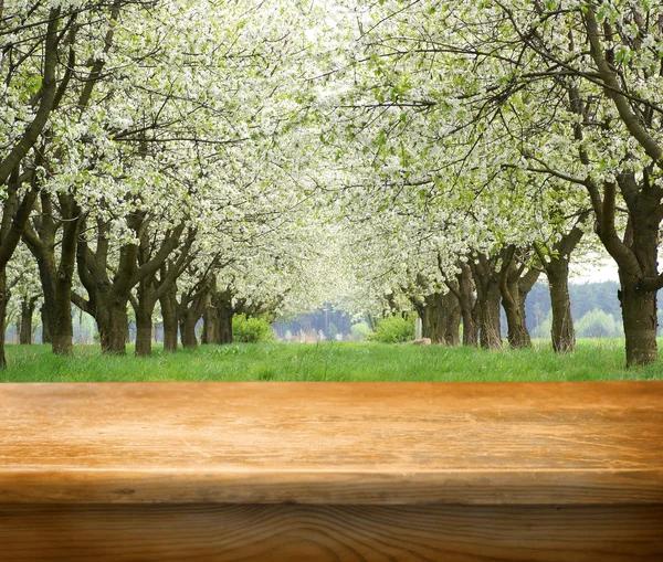 Empty table — Stock Photo, Image