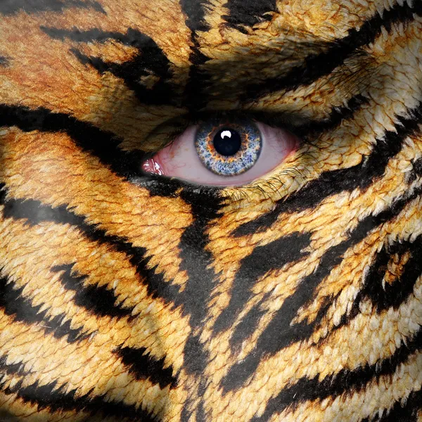 Tiger stripes pattern on man face — Stock Photo, Image