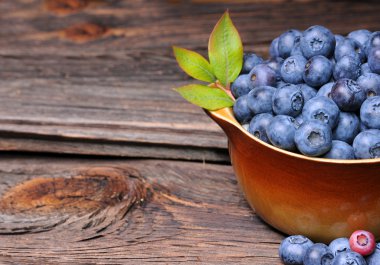 yaban mersini kompozisyon