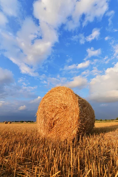 Hay тюків — стокове фото