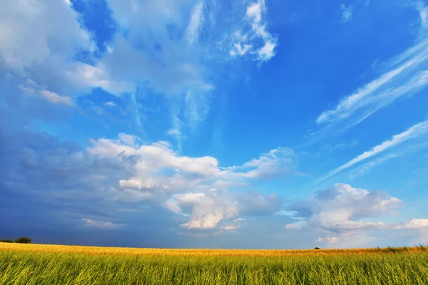 Sommarlandskap — Stockfoto