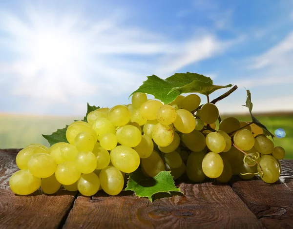 Uvas — Foto de Stock