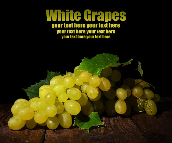 Grapes — Stock Photo, Image