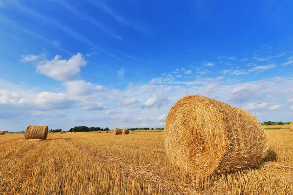 Hay bales — Stock Photo, Image