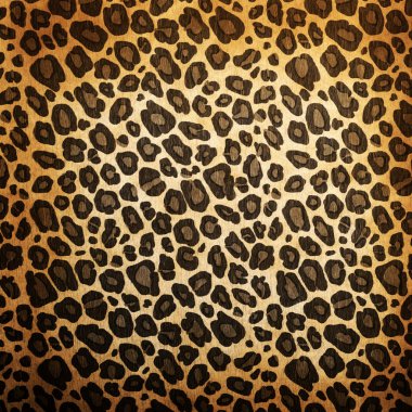 Leopar deseni