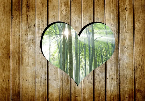 Srdce dřevěné stěny — Stock fotografie
