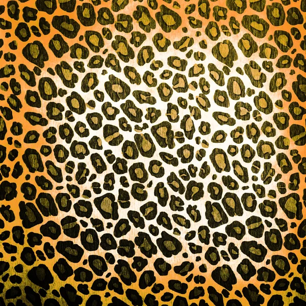 Leopard pattern — Stock Photo, Image