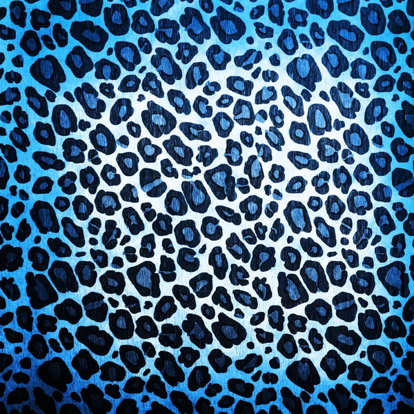 Padrão de leopardo — Fotografia de Stock