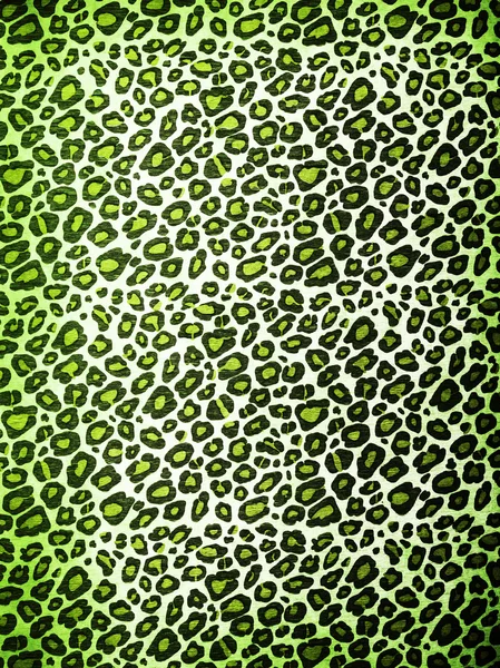 Modello di leopardo — Foto Stock