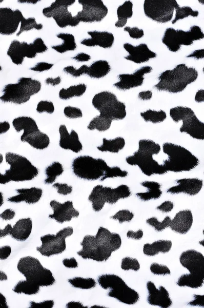 Cow pattern — Stock Photo, Image