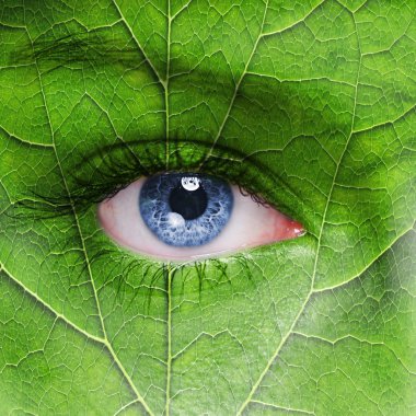 Blue eye close up and leaf texture on face. clipart