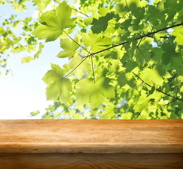 Mesa de madeira e folhas de floresta verde — Fotografia de Stock