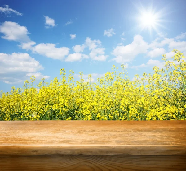 Mesa vazia e paisagem de verão — Fotografia de Stock