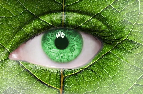 Green eye close up and leaf texture on face. — Stock Photo, Image