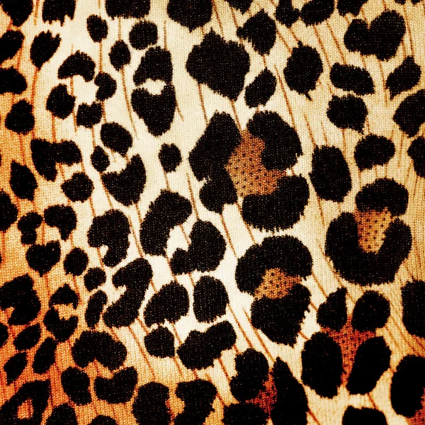 Cheetah pattern — Stock Photo, Image