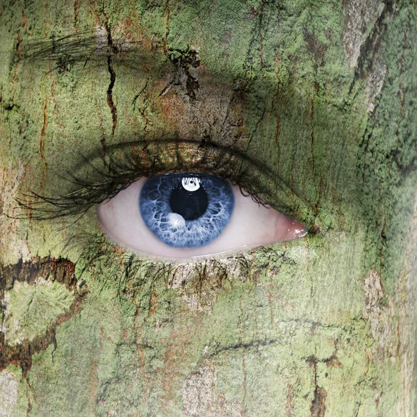 Rosto humano com um olho aberto coberto por uma textura de casca de árvore — Fotografia de Stock