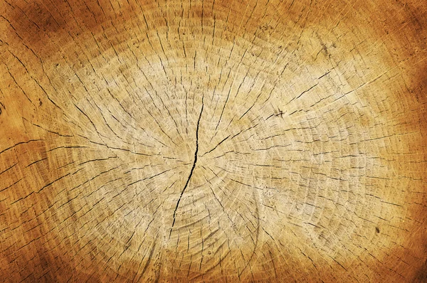 Bruine houten ondergrond — Stockfoto