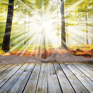 Beautiful sunlight in the autumn forest clipart