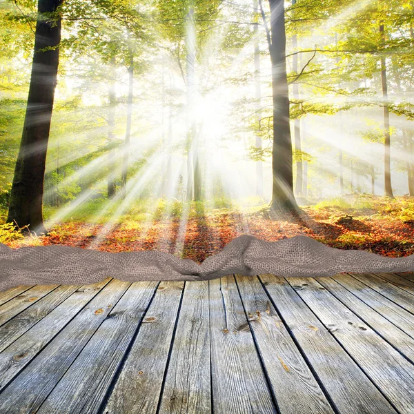 Pusty Stół drewniany i jesień las — Zdjęcie stockowe