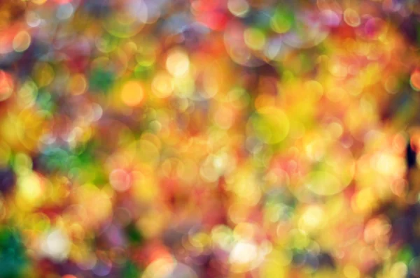 Rainbow bokeh bakcground — Stock Photo, Image