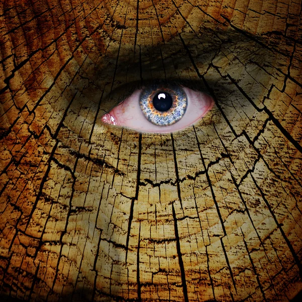 Wood pattern on man face — Stock Photo, Image