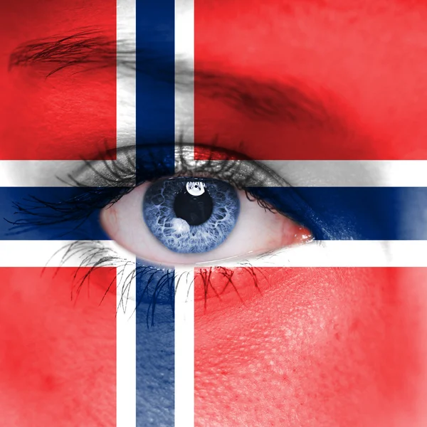 Norway flag painted on face — Stock Photo, Image