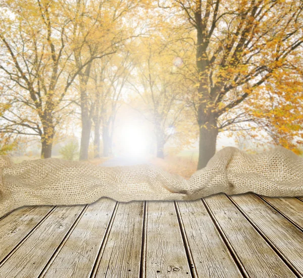 Old wooden table in autumn forest — Stock Photo, Image