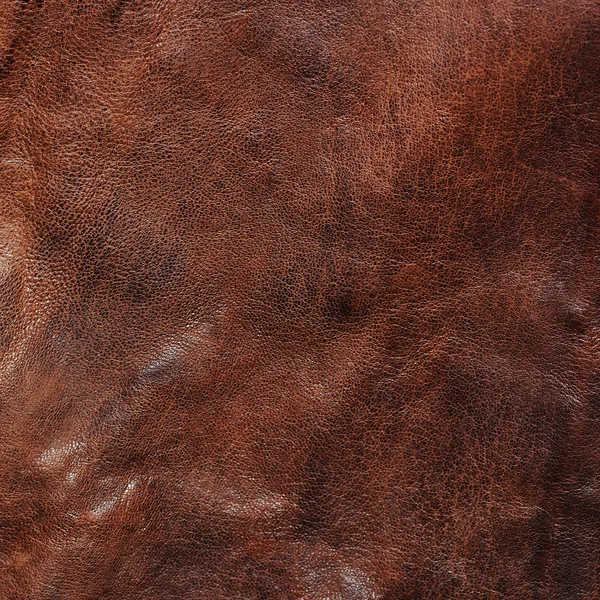 棕色皮革 — 图库照片
