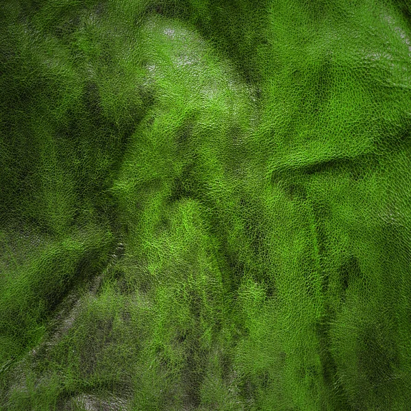 Pelle verde — Foto Stock