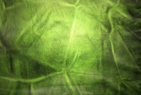 Textura de couro verde ou fundo — Fotografia de Stock