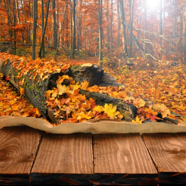 Old wooden table in autumn forest — Stock Photo, Image