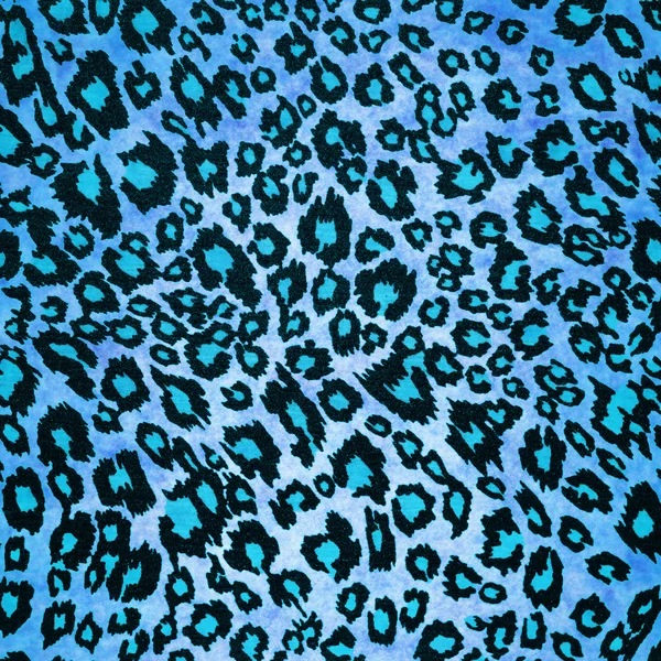 Mavi leopar desen arka plan — Stok fotoğraf