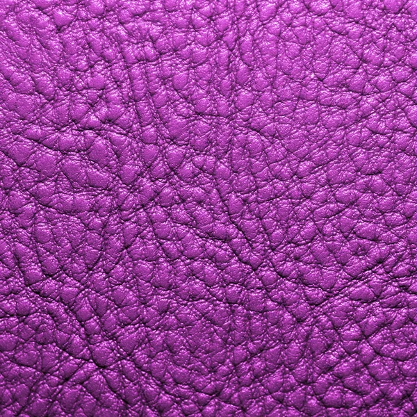 Texture de cuir violet pour le fond — Photo