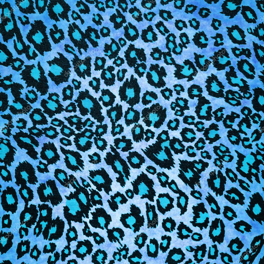 Leopard blue pattern background Stock Photo by ©kwasny222 30653399