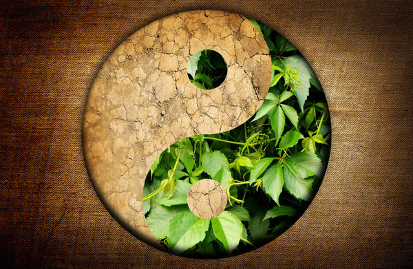 Yin and Yang symbol of harmony between two elements