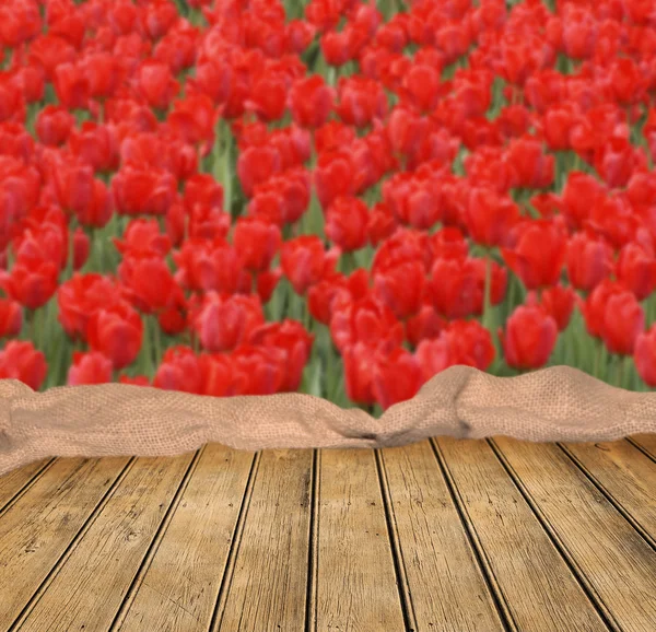 Pusta tabela z tulipany tło pola — Zdjęcie stockowe
