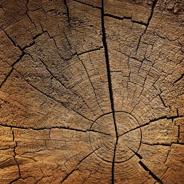 Textura de madeira — Fotografia de Stock