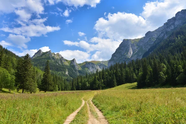 Montanhas Tatry — Fotografia de Stock